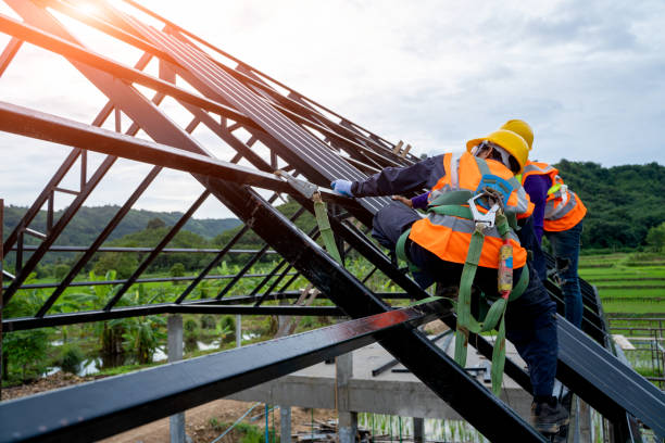 Best Roof Gutter Cleaning  in Oakland, FL